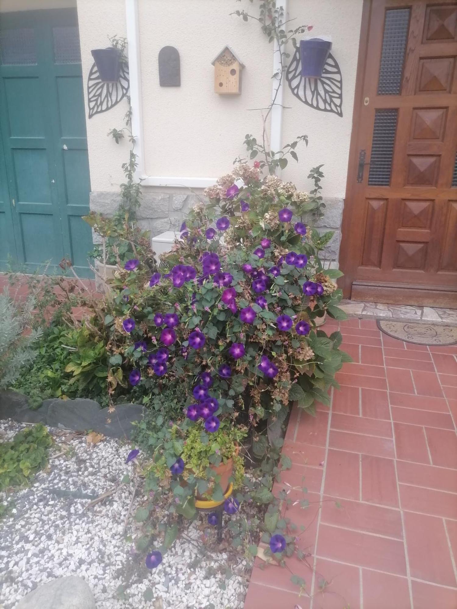 Maison Du Soleil Prades  Dış mekan fotoğraf